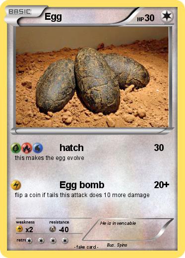 Pokemon Egg