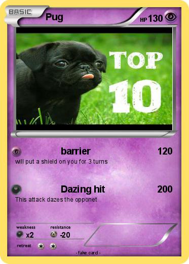 Pokemon Pug