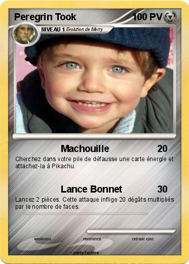 Pokemon Peregrin Took