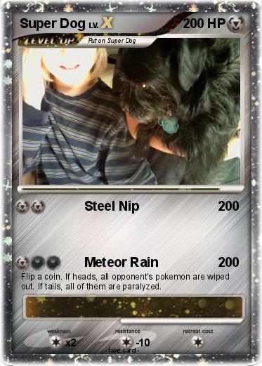 Pokemon Super Dog