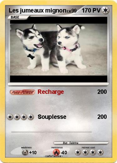 Pokemon Les jumeaux mignon