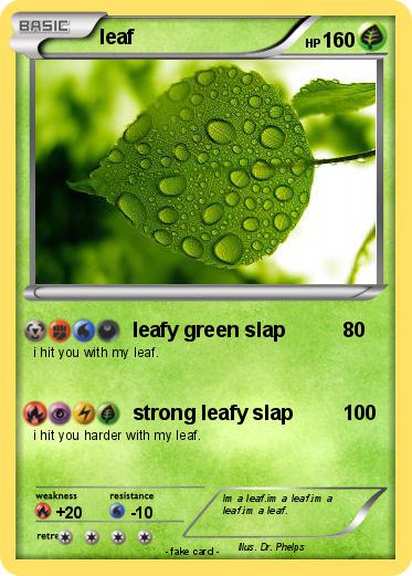 Pokemon leaf