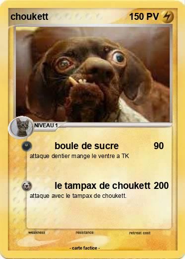 Pokemon choukett