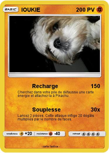 Pokemon IOUKIE