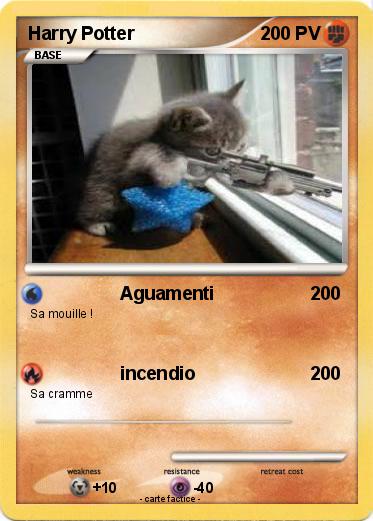 Pokemon Harry Potter