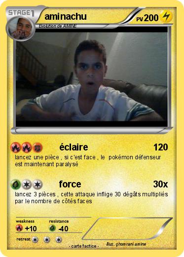 Pokemon aminachu