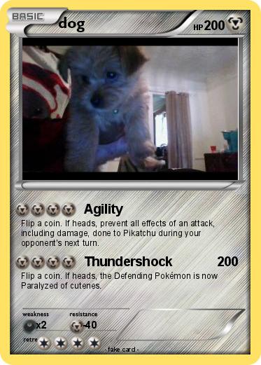 Pokemon dog