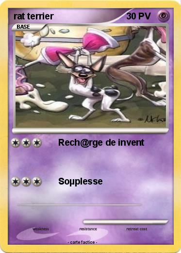 Pokemon rat terrier