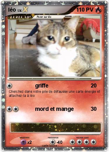 Pokemon léo