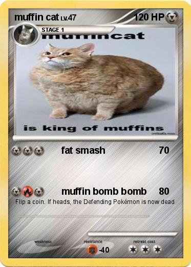 Pokemon muffin cat