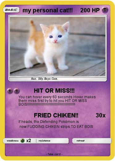 Pokemon my personal cat!!!
