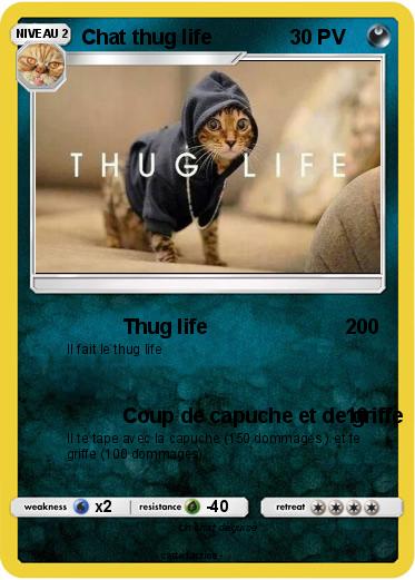 Pokemon Chat thug life