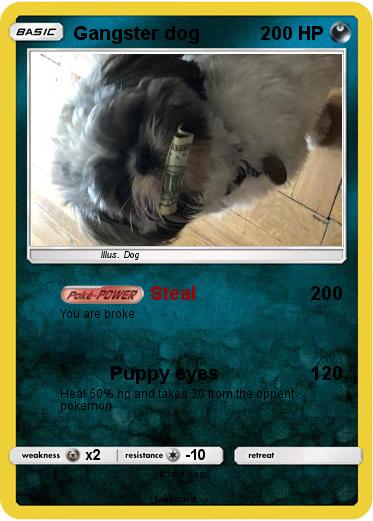 Pokemon Gangster dog