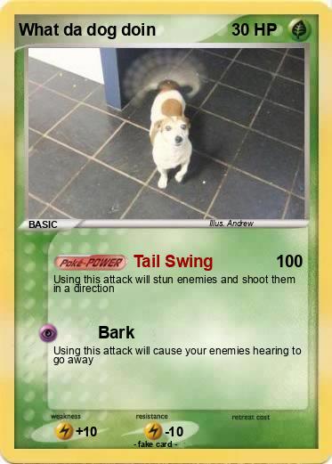 Pokemon What da dog doin