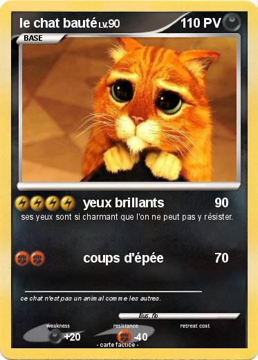 Pokemon le chat bauté
