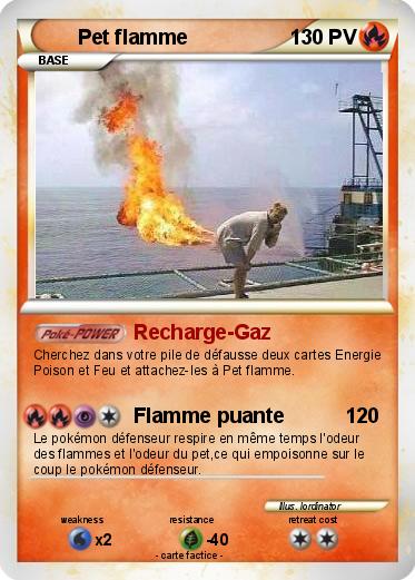 Pokemon Pet flamme