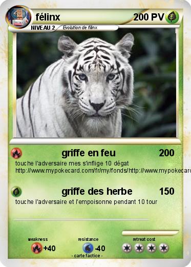 Pokemon félinx