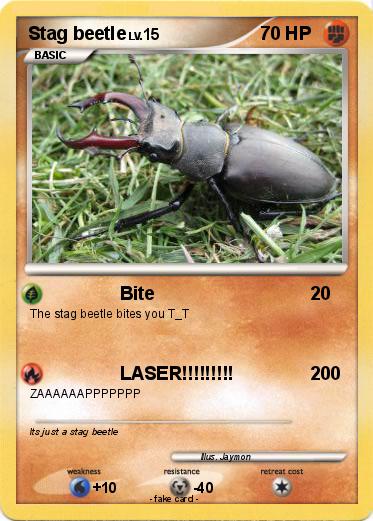 Pokemon Stag beetle