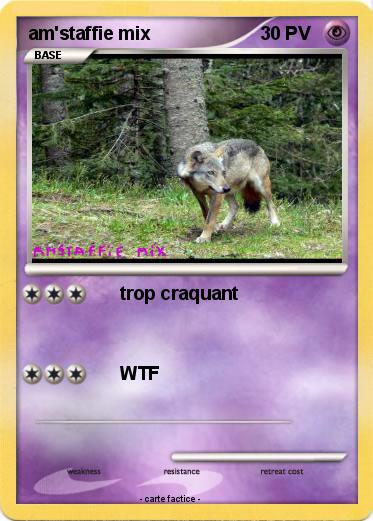 Pokemon am'staffie mix