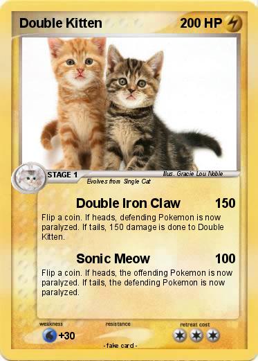 Pokemon Double Kitten