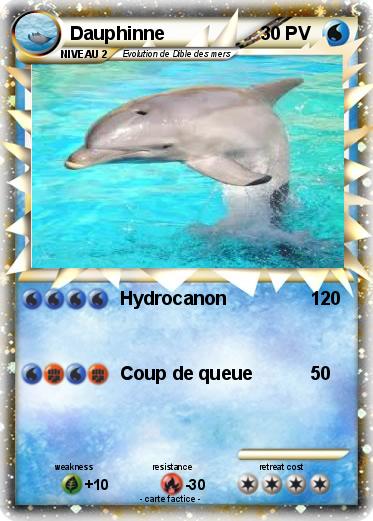 Pokemon Dauphinne