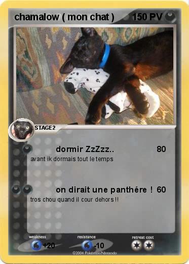 Pokemon chamalow ( mon chat ) 