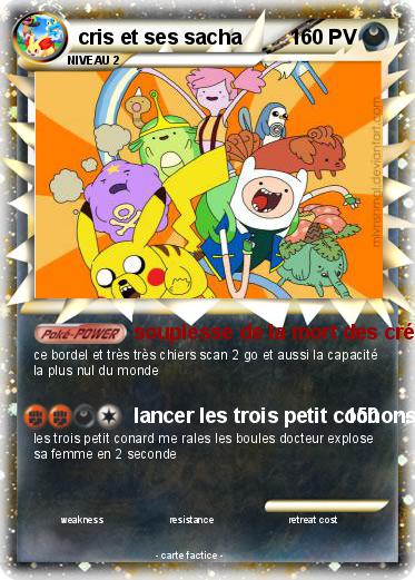 Pokemon cris et ses sacha