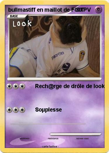 Pokemon bullmastiff en maillot de F00T