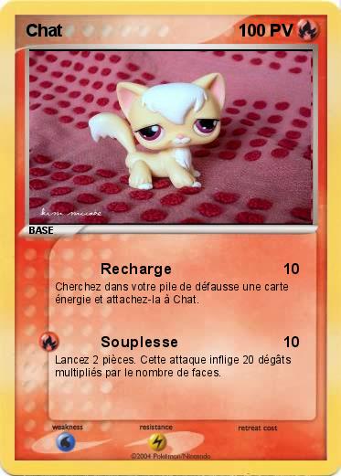 Pokemon Chat