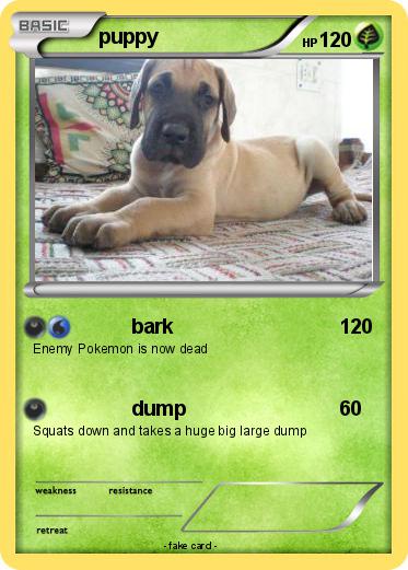 Pokemon puppy