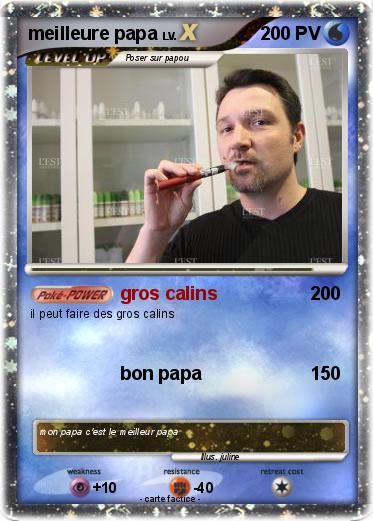 Pokemon meilleure papa