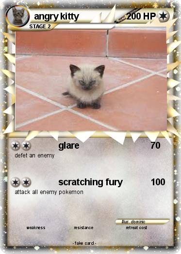 Pokemon angry kitty
