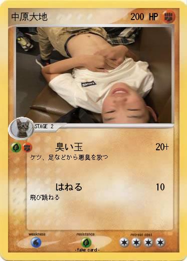 Pokemon 中原大地