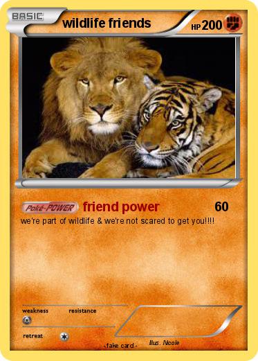 Pokemon wildlife friends