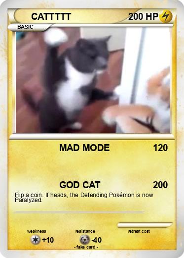 Pokemon CATTTTT