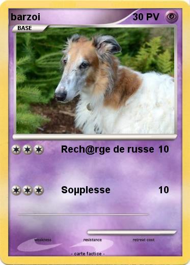 Pokemon barzoi