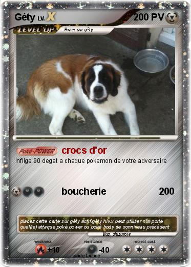 Pokemon Géty