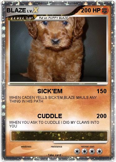 Pokemon BLAZE