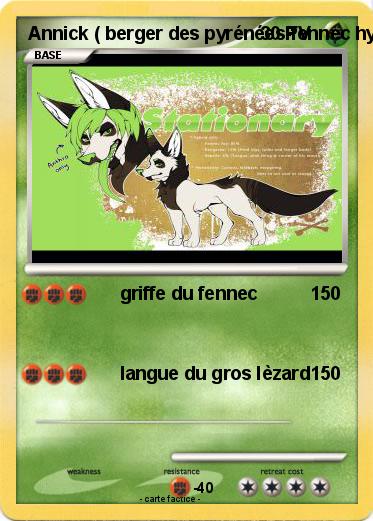 Pokemon Annick ( berger des pyrénées-fennec hybride )