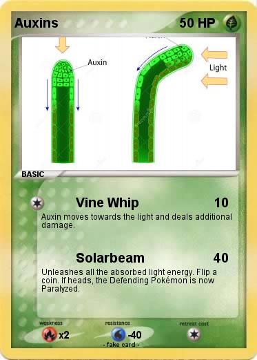 Pokemon Auxins