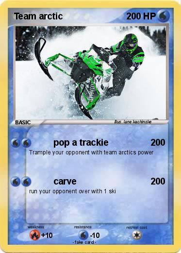 Pokemon Team arctic