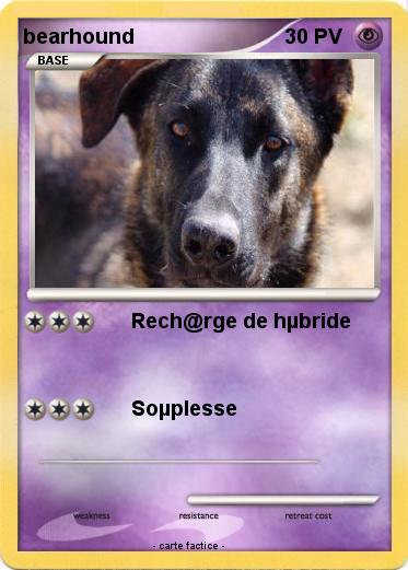 Pokemon bearhound