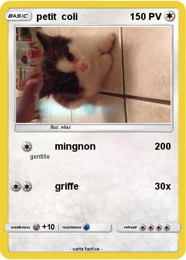 Pokemon petit  coli