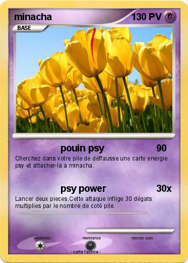 Pokemon minacha