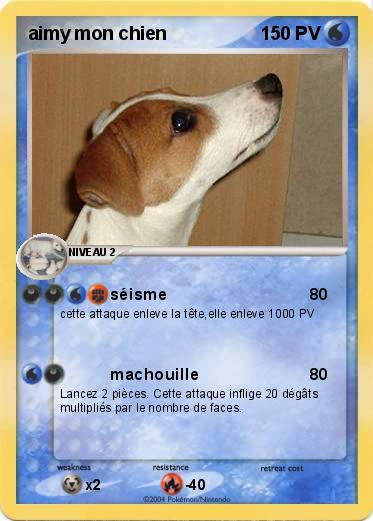 Pokemon aimy mon chien