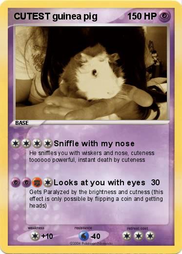 Pokemon CUTEST guinea pig 