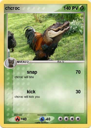 Pokemon chcroc
