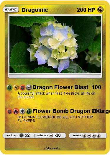 Pokemon Dragoinic