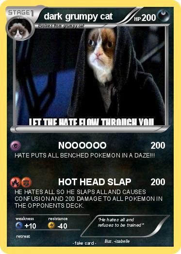 Pokemon dark grumpy cat