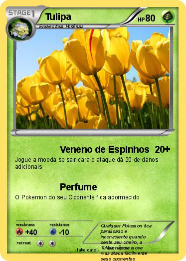 Pokemon Tulipa